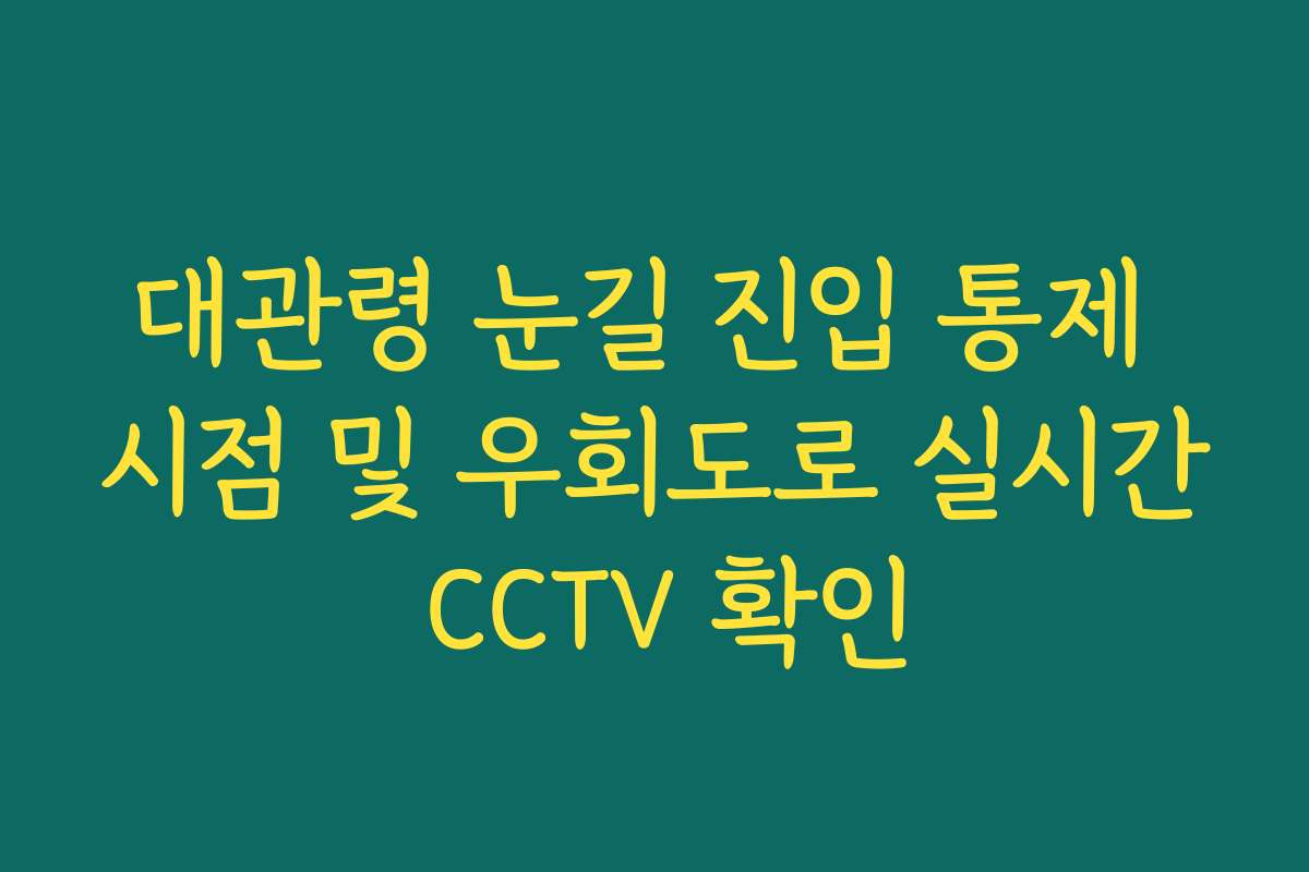 대관령 눈길 진입 통제 시점 및 우회도로 실시간 CCTV 확인 대관령 눈길 진입 통제 시점 및 우회도로 실시간 CCTV 확인