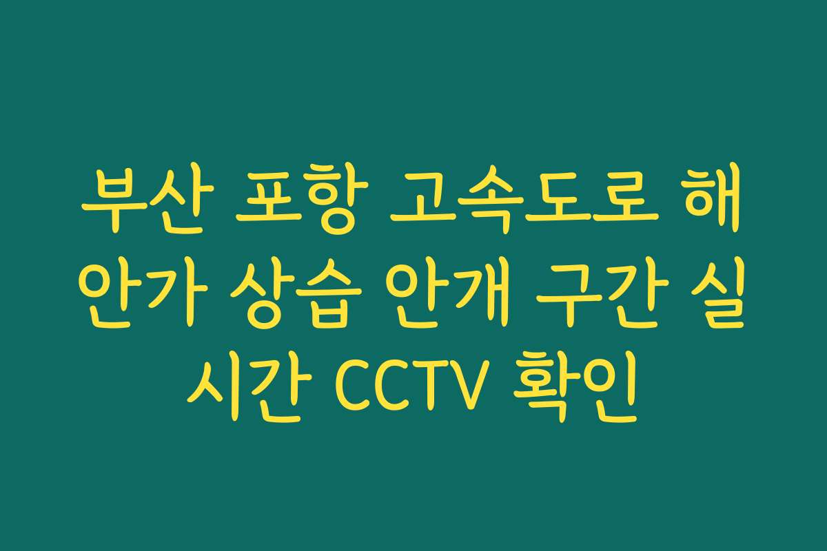 부산 포항 고속도로 해안가 상습 안개 구간 실시간 CCTV 확인