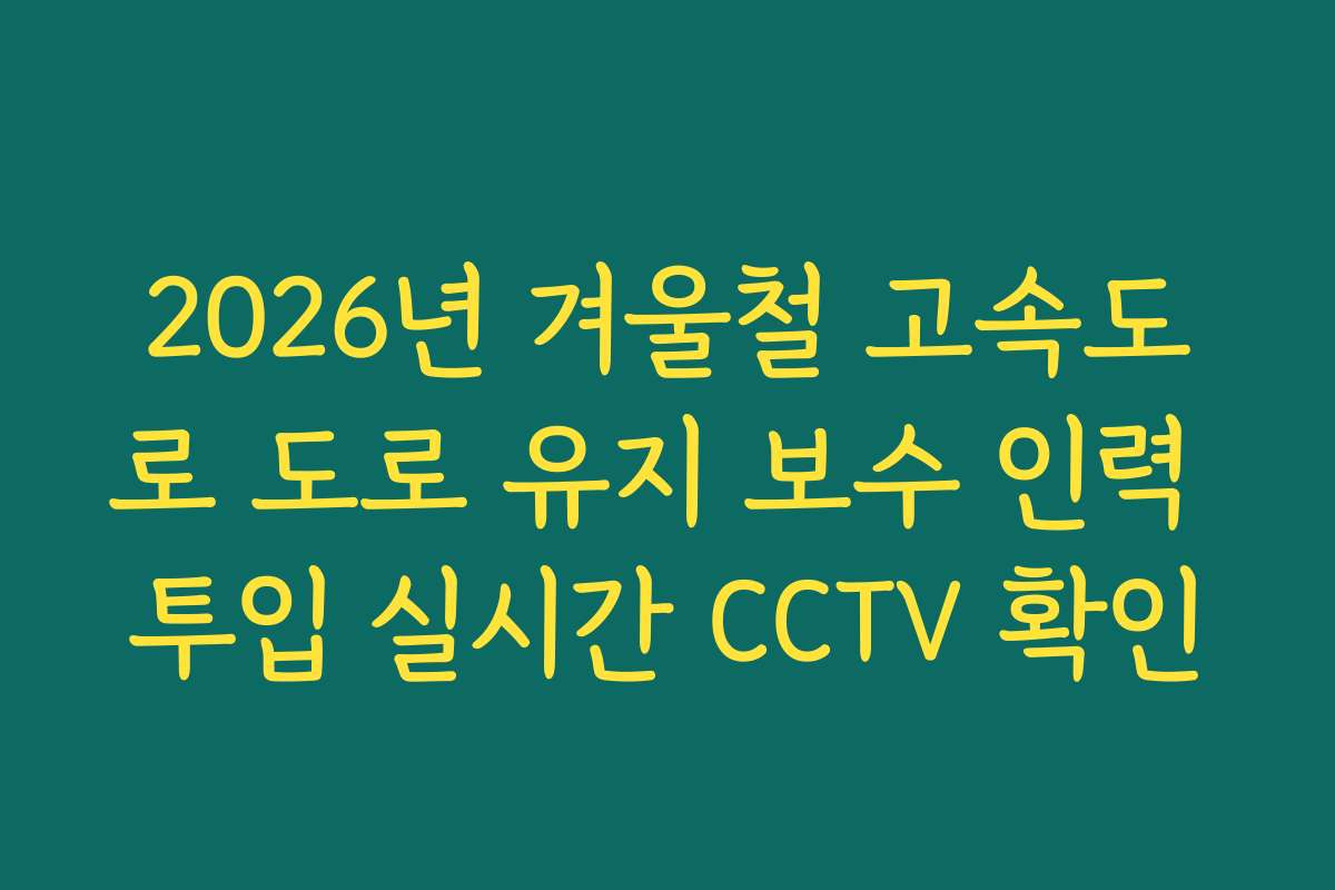 2026년 겨울철 고속도로 도로 유지 보수 인력 투입 실시간 CCTV 확인