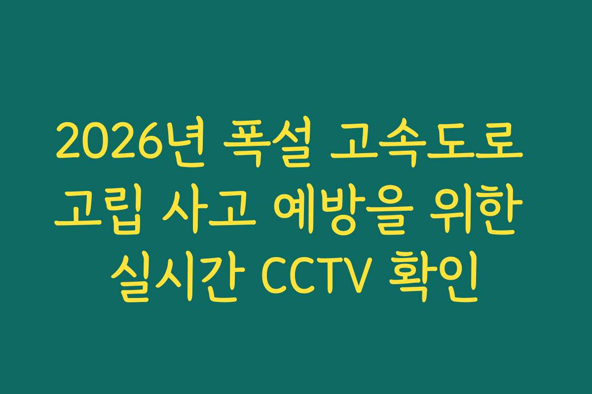 2026년 폭설 고속도로 고립 사고 예방을 위한 실시간 CCTV 확인