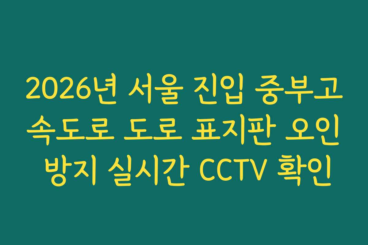 2026년 서울 진입 중부고속도로 도로 표지판 오인 방지 실시간 CCTV 확인