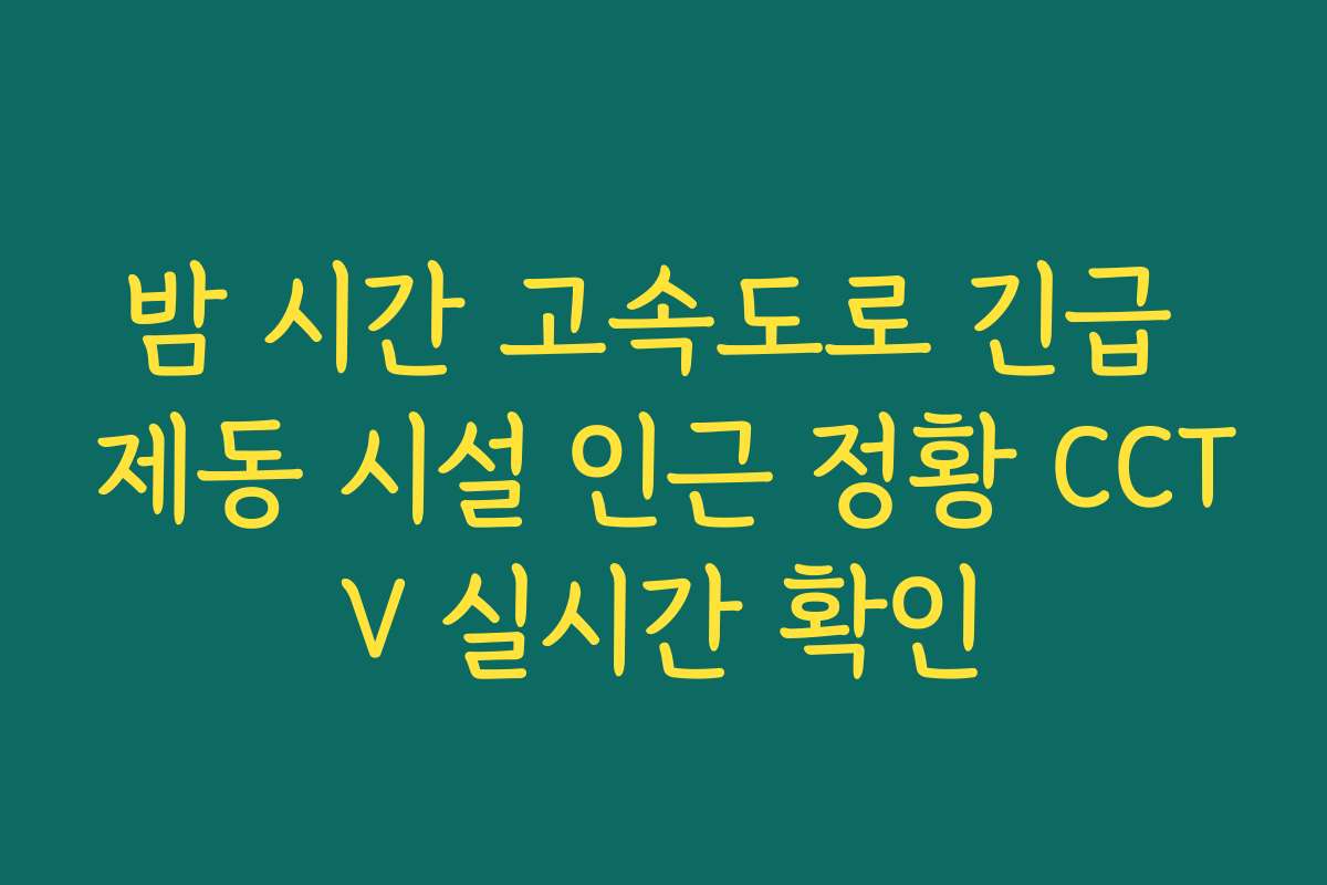 밤 시간 고속도로 긴급 제동 시설 인근 정황 CCTV 실시간 확인