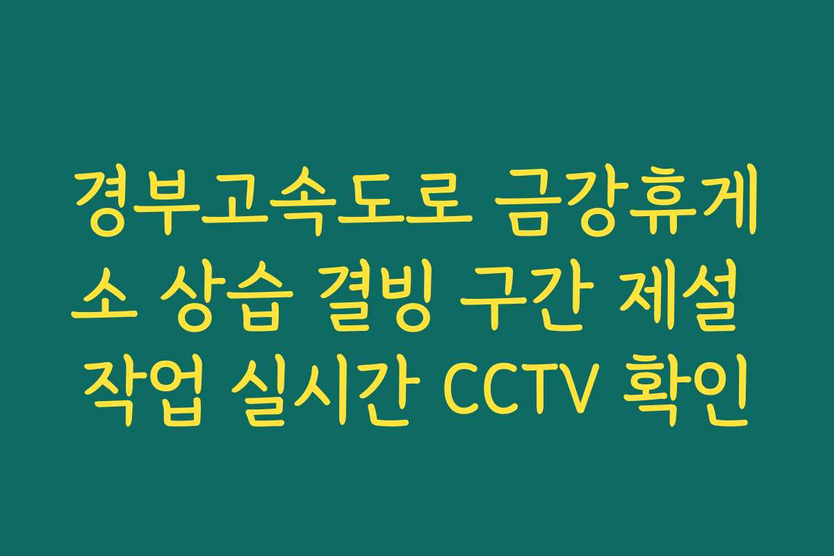 경부고속도로 금강휴게소 상습 결빙 구간 제설 작업 실시간 CCTV 확인