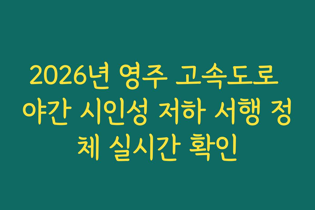 2026년 영주 고속도로 야간 시인성 저하 서행 정체 실시간 확인