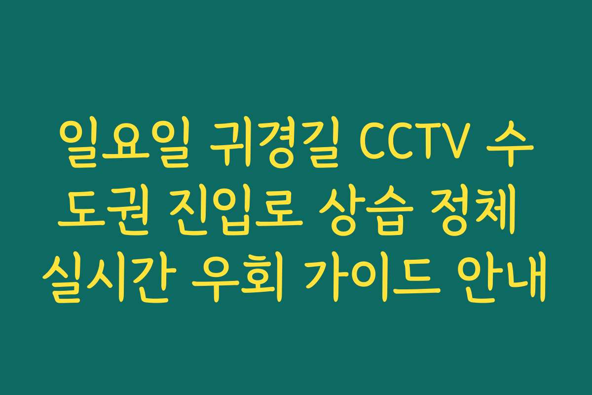 일요일 귀경길 CCTV 수도권 진입로 상습 정체 실시간 우회 가이드 안내