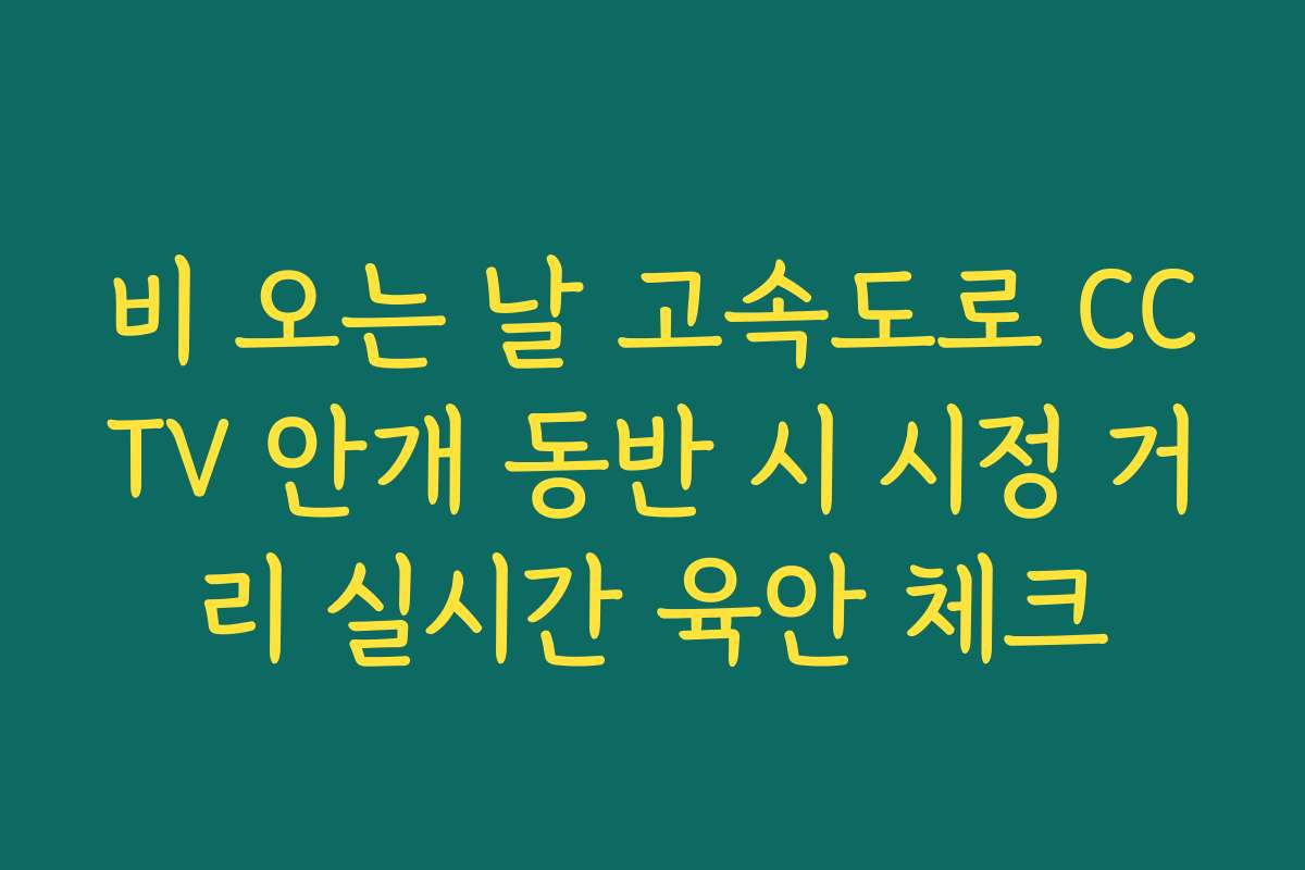 비 오는 날 고속도로 CCTV 안개 동반 시 시정 거리 실시간 육안 체크