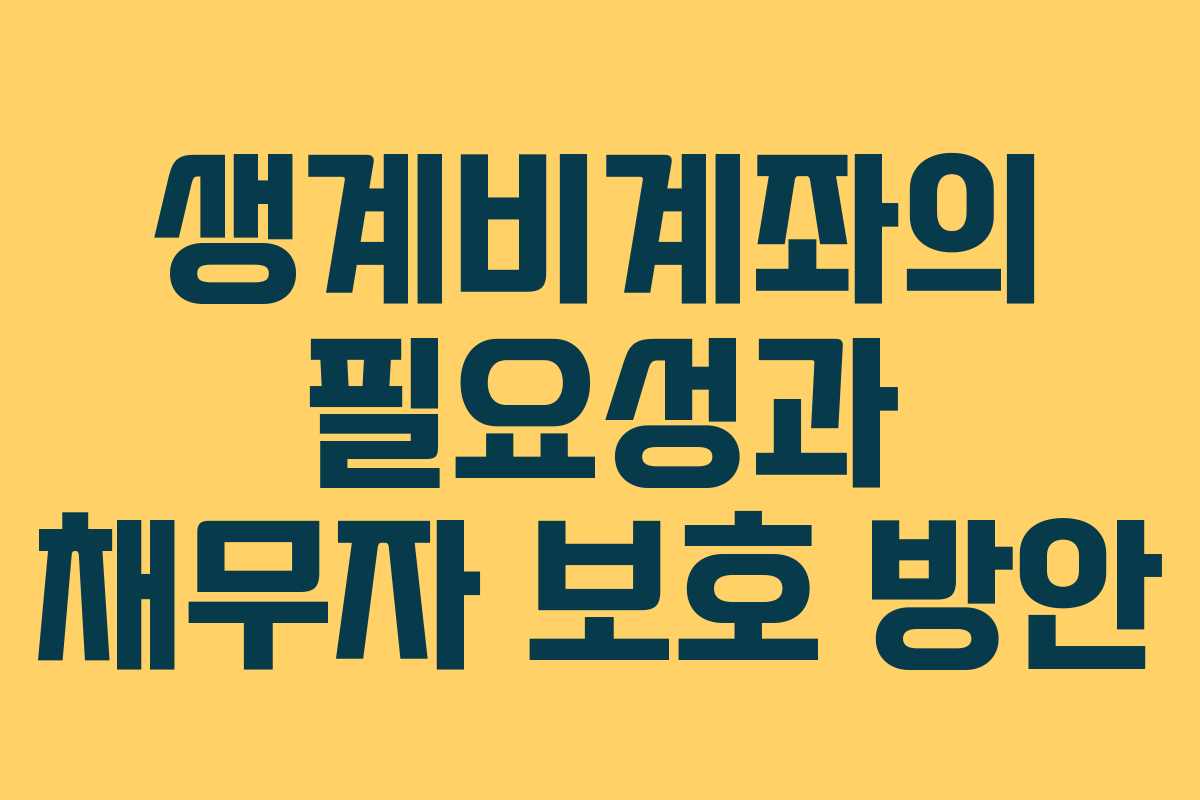 생계비계좌의 필요성과 채무자 보호 방안