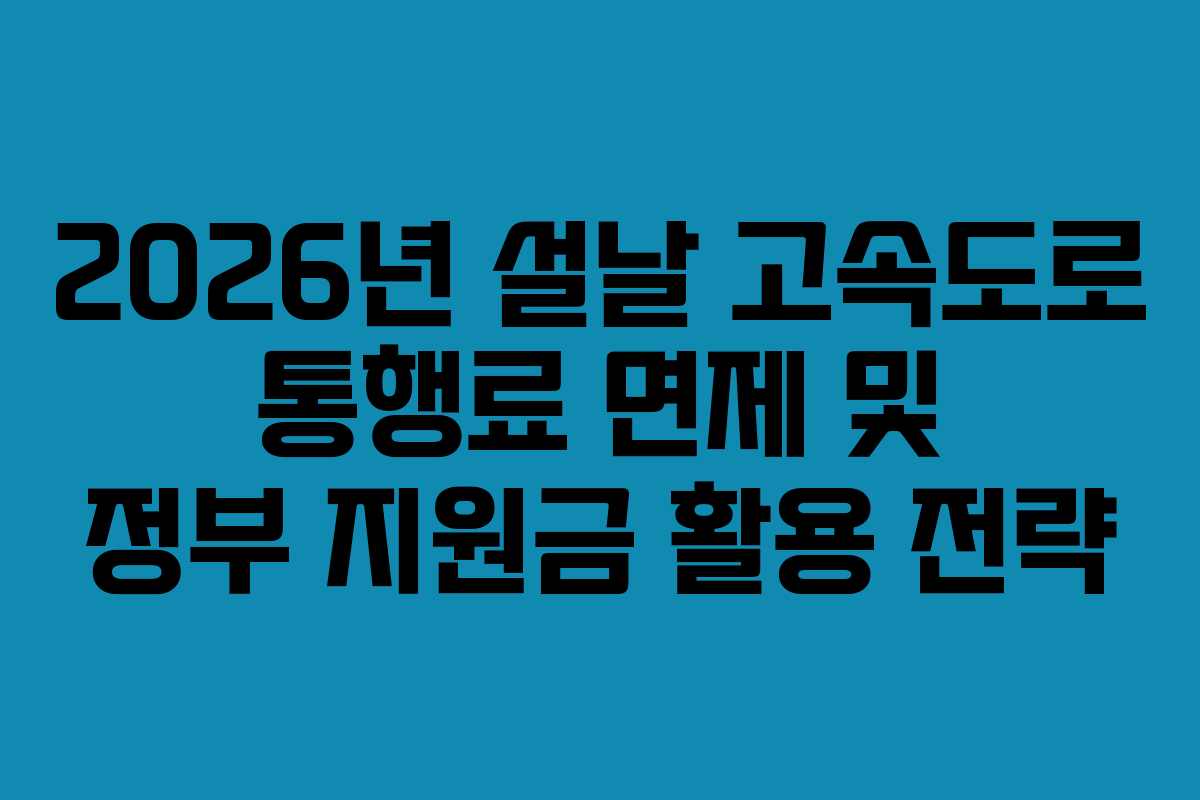 2026년 설날 고속도로 통행료 면제 및 정부 지원금 활용 전략