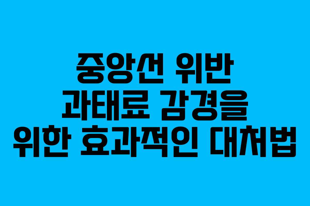 중앙선 위반 과태료 감경을 위한 효과적인 대처법