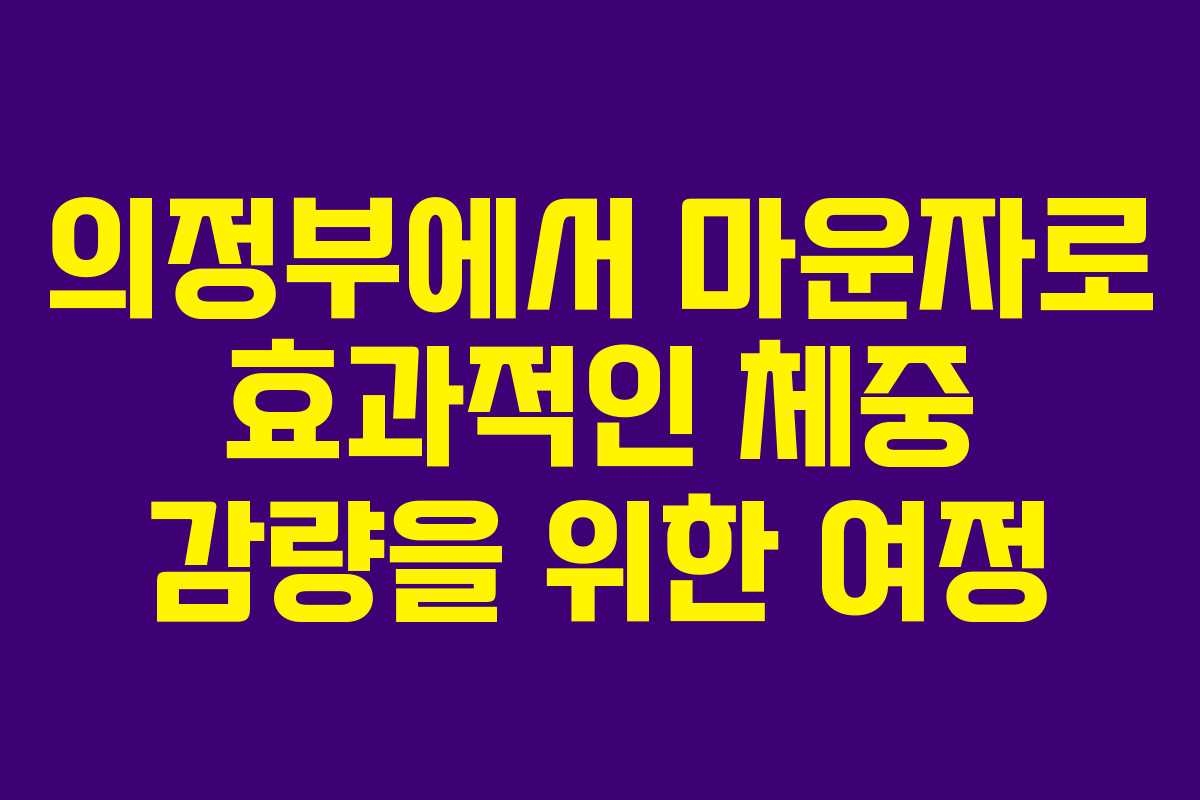 의정부에서 마운자로 효과적인 체중 감량을 위한 여정