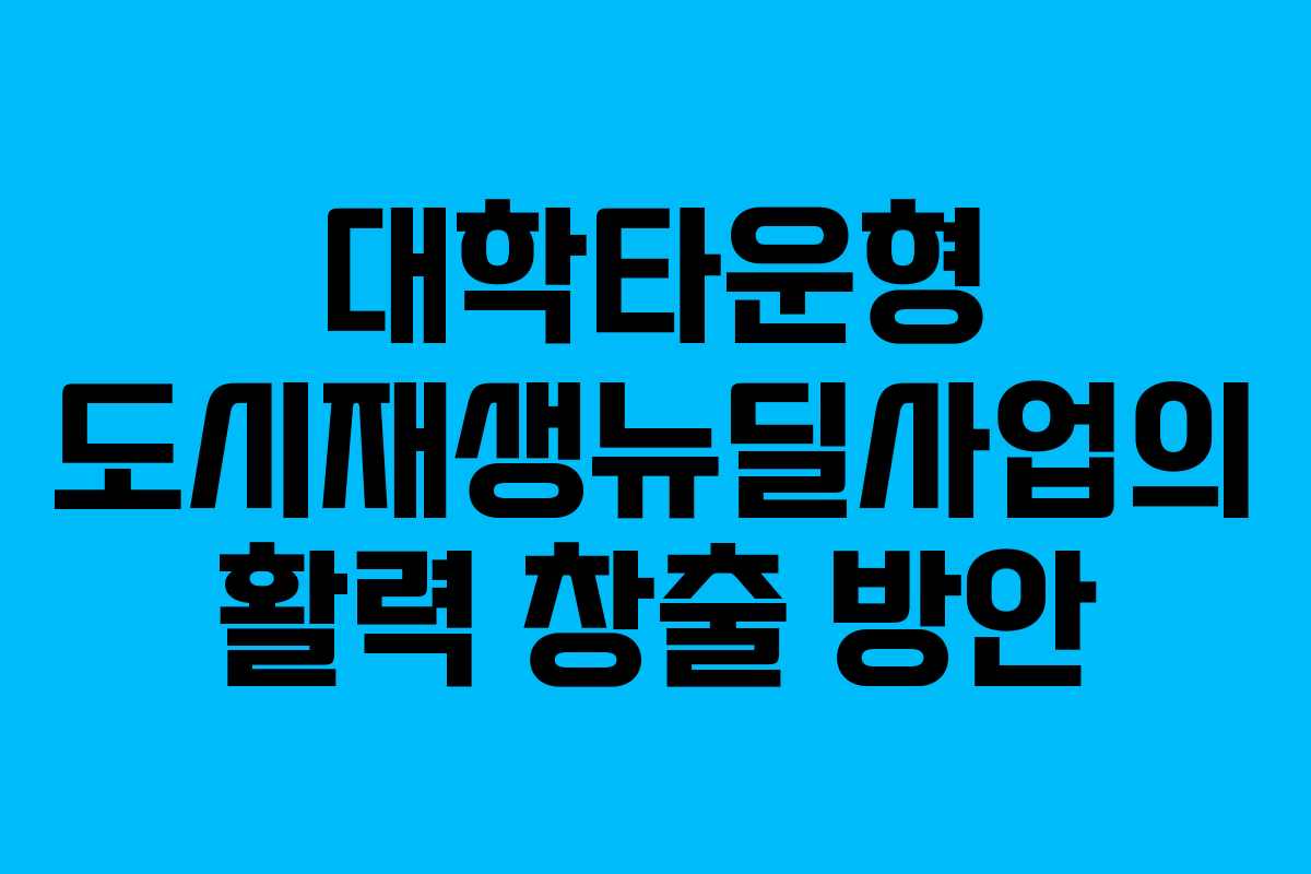 대학타운형 도시재생뉴딜사업의 활력 창출 방안
