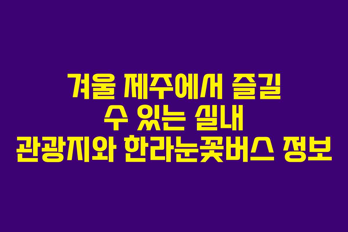 겨울 제주에서 즐길 수 있는 실내 관광지와 한라눈꽃버스 정보