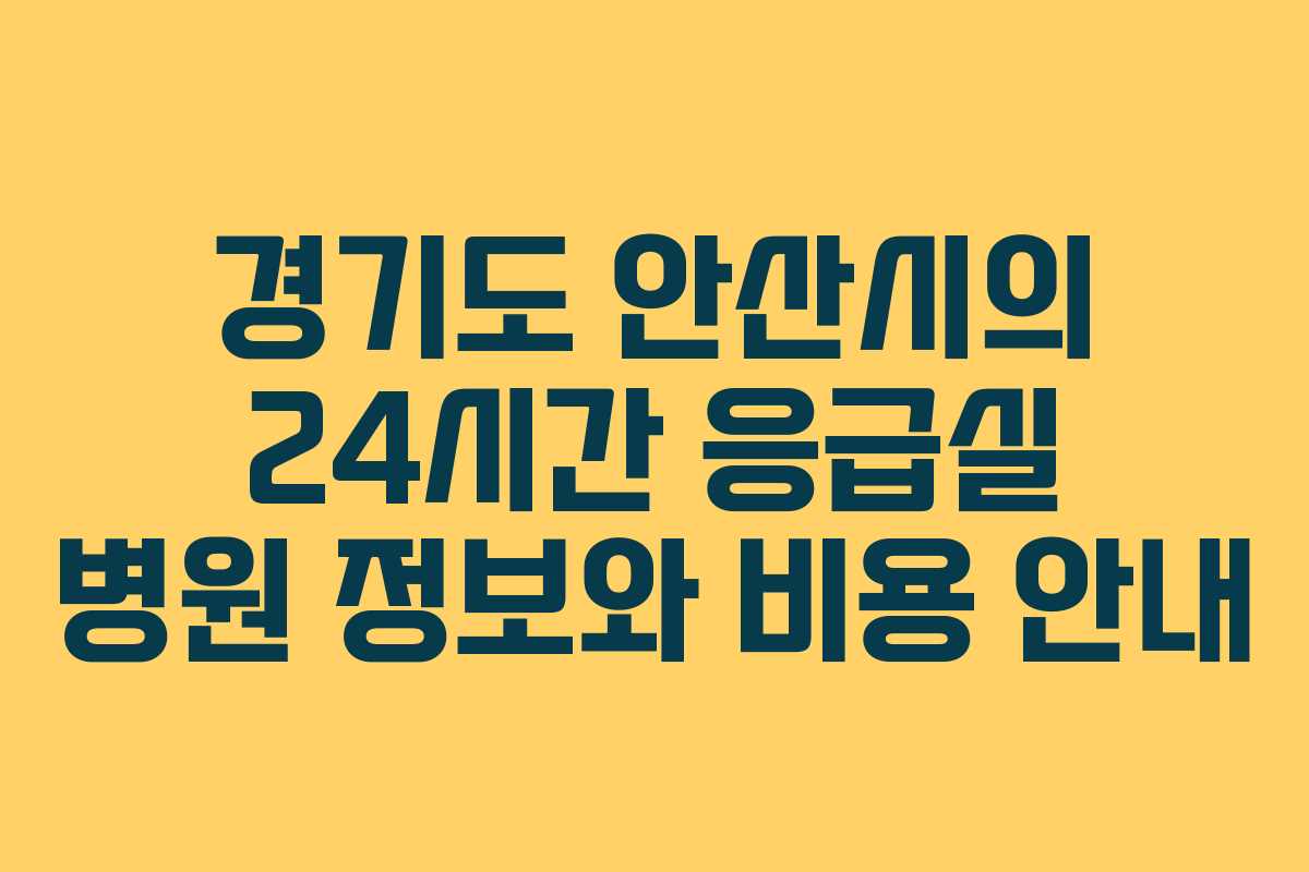 경기도 안산시의 24시간 응급실 병원 정보와 비용 안내
