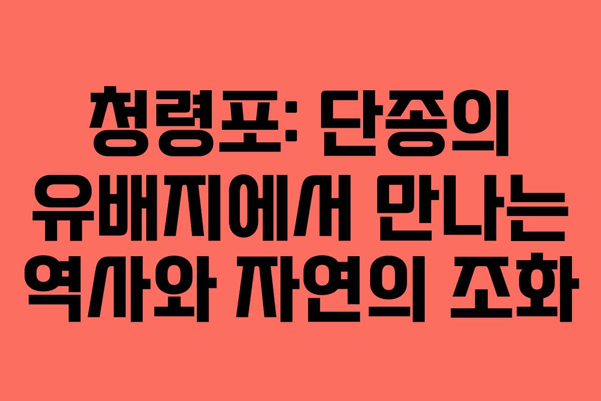 청령포: 단종의 유배지에서 만나는 역사와 자연의 조화
