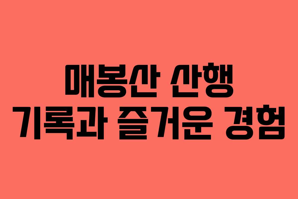 매봉산 산행 기록과 즐거운 경험
