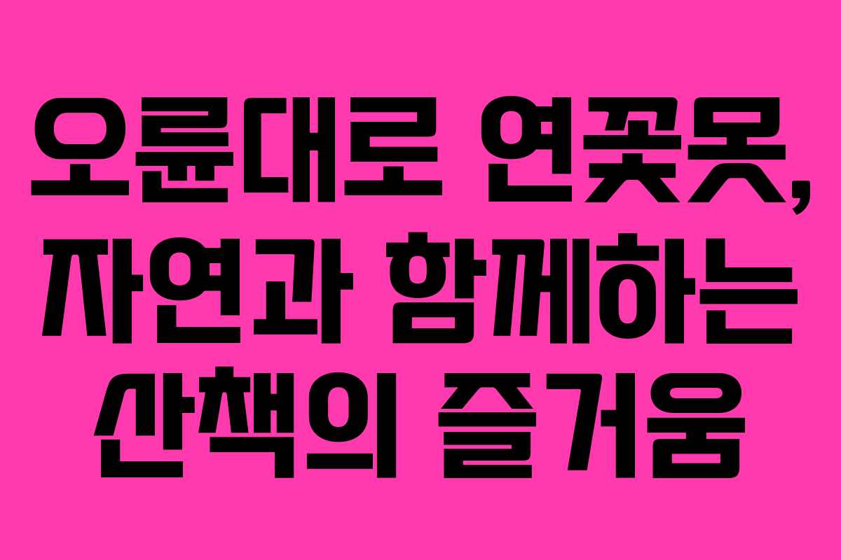 오륜대로 연꽃못, 자연과 함께하는 산책의 즐거움