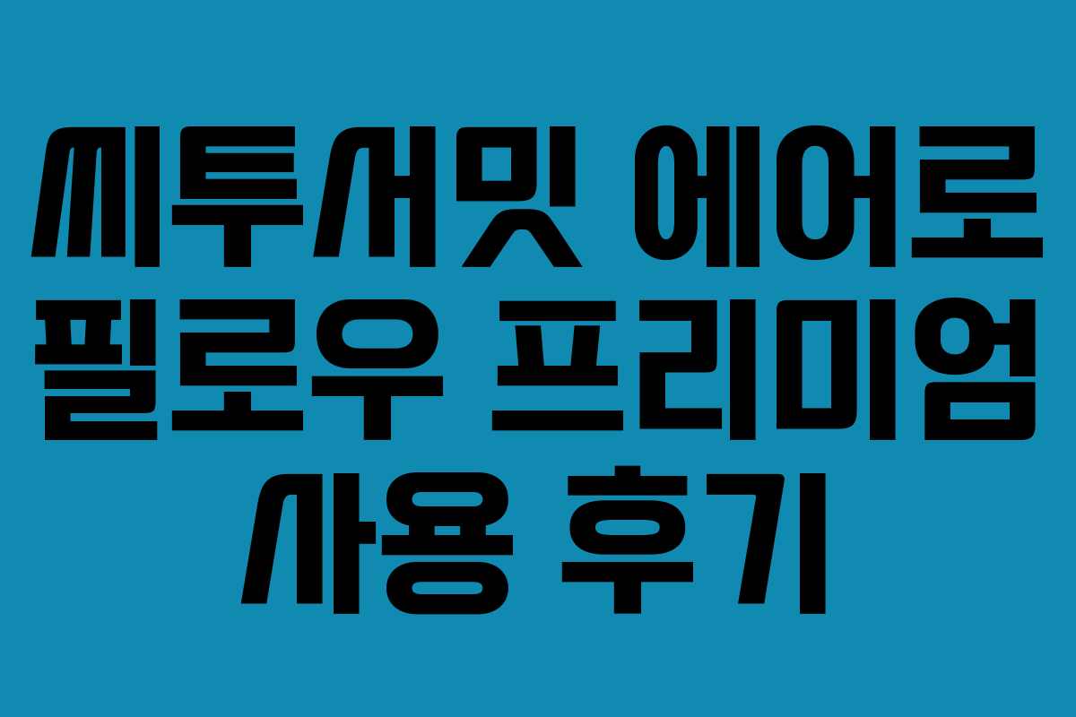씨투서밋 에어로 필로우 프리미엄 사용 후기