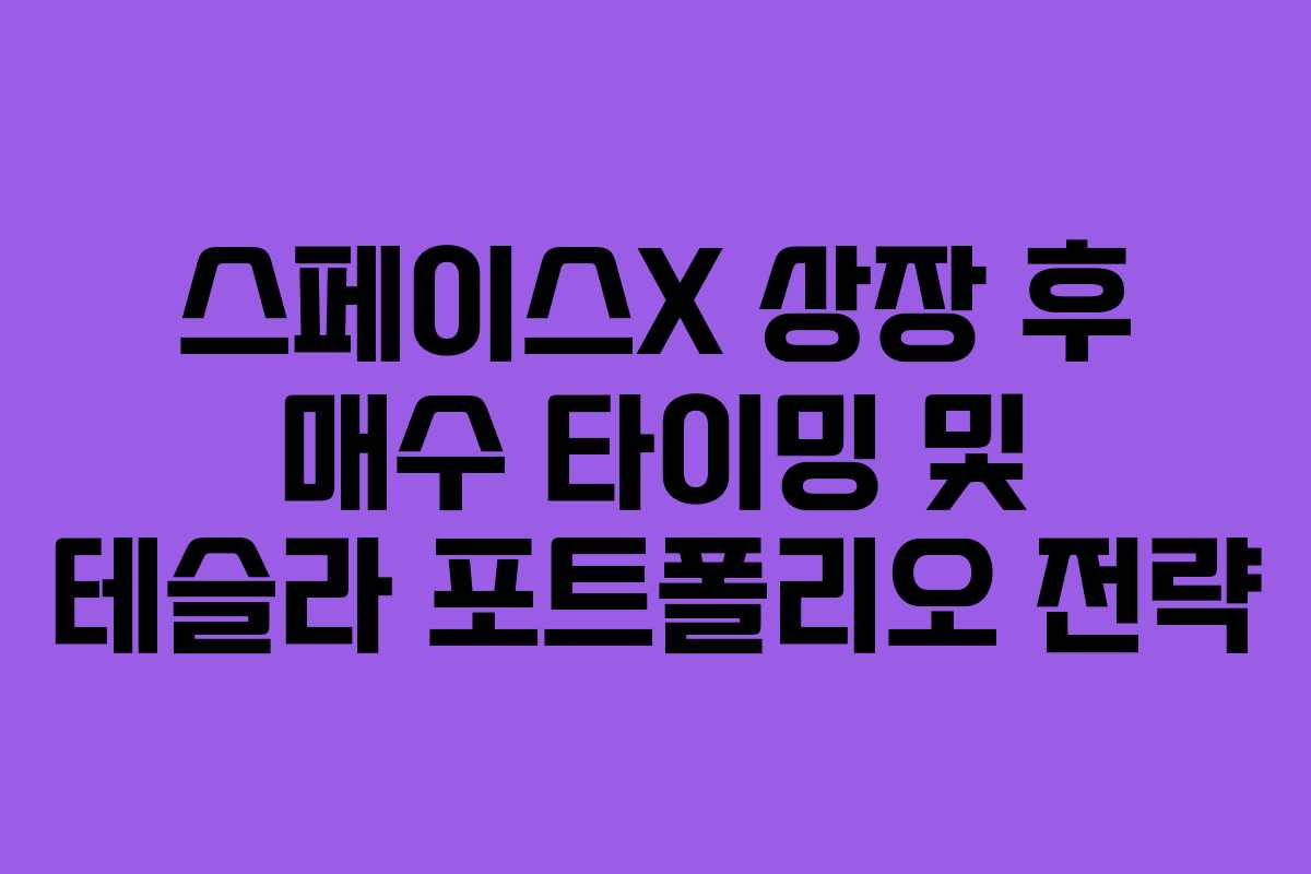 스페이스X 상장 후 매수 타이밍 및 테슬라 포트폴리오 전략