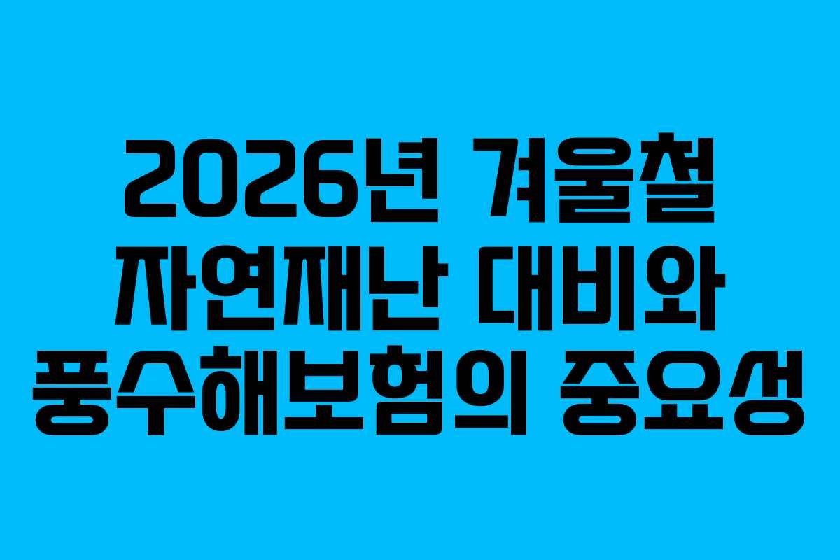 2026년 겨울철 자연재난 대비와 풍수해보험의 중요성