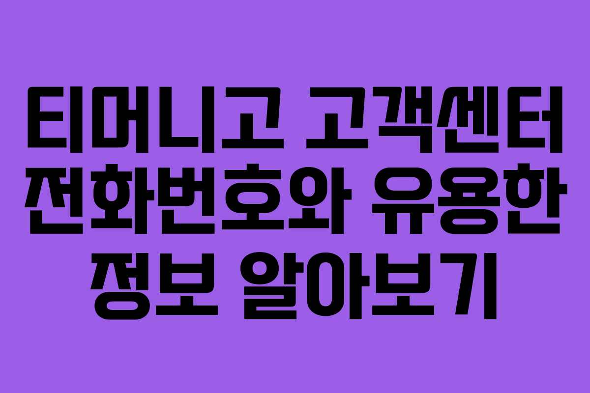 티머니고 고객센터 전화번호와 유용한 정보 알아보기