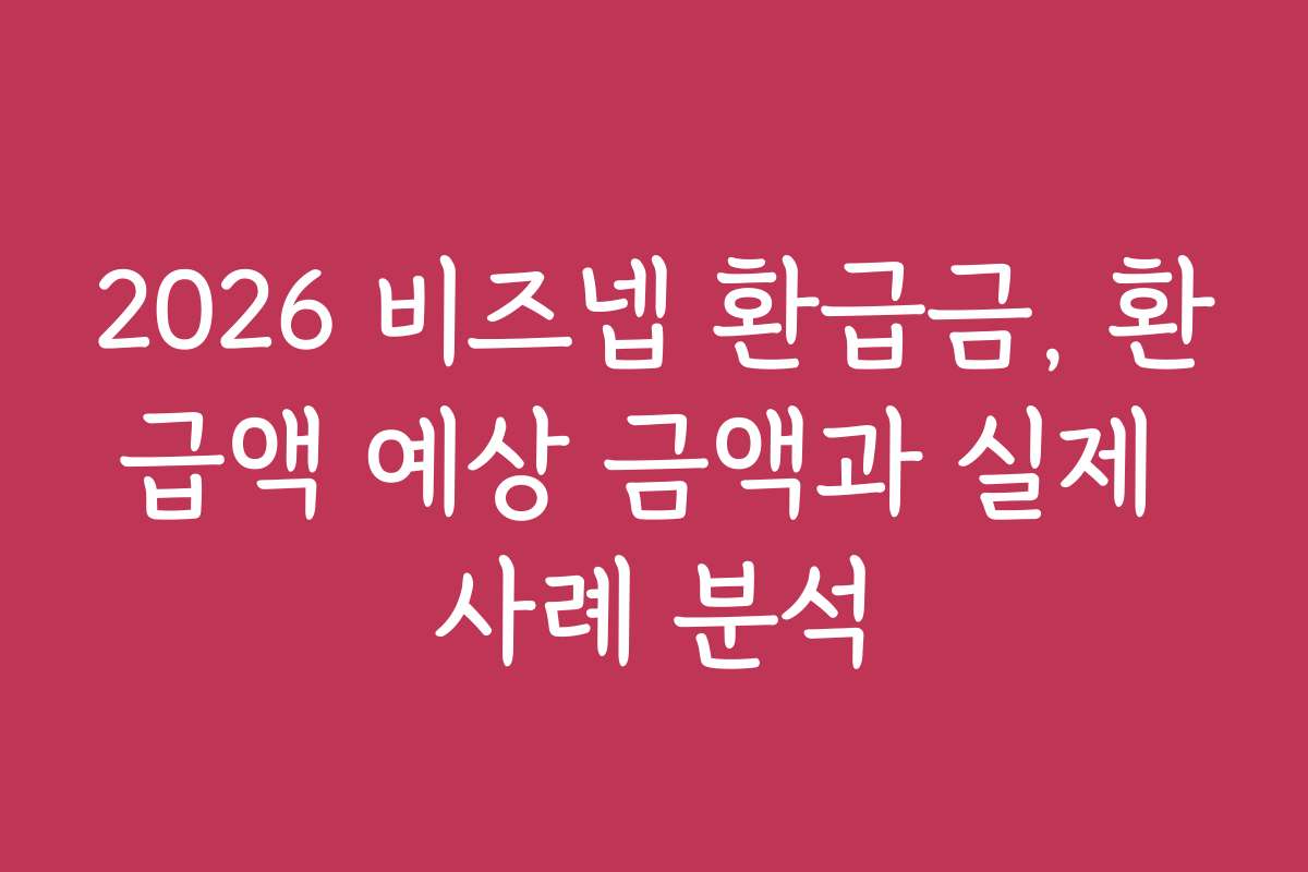 2026 비즈넵 환급금, 환급액 예상 금액과 실제 사례 분석