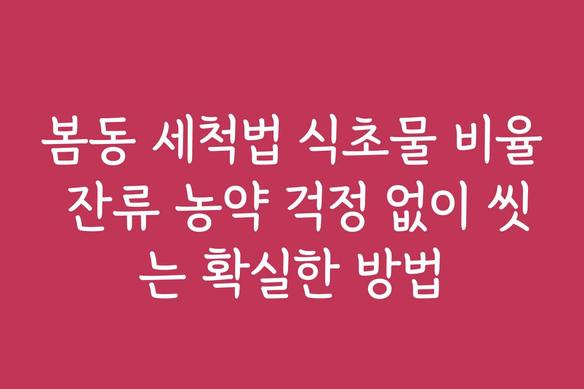 봄동 세척법 식초물 비율 잔류 농약 걱정 없이 씻는 확실한 방법