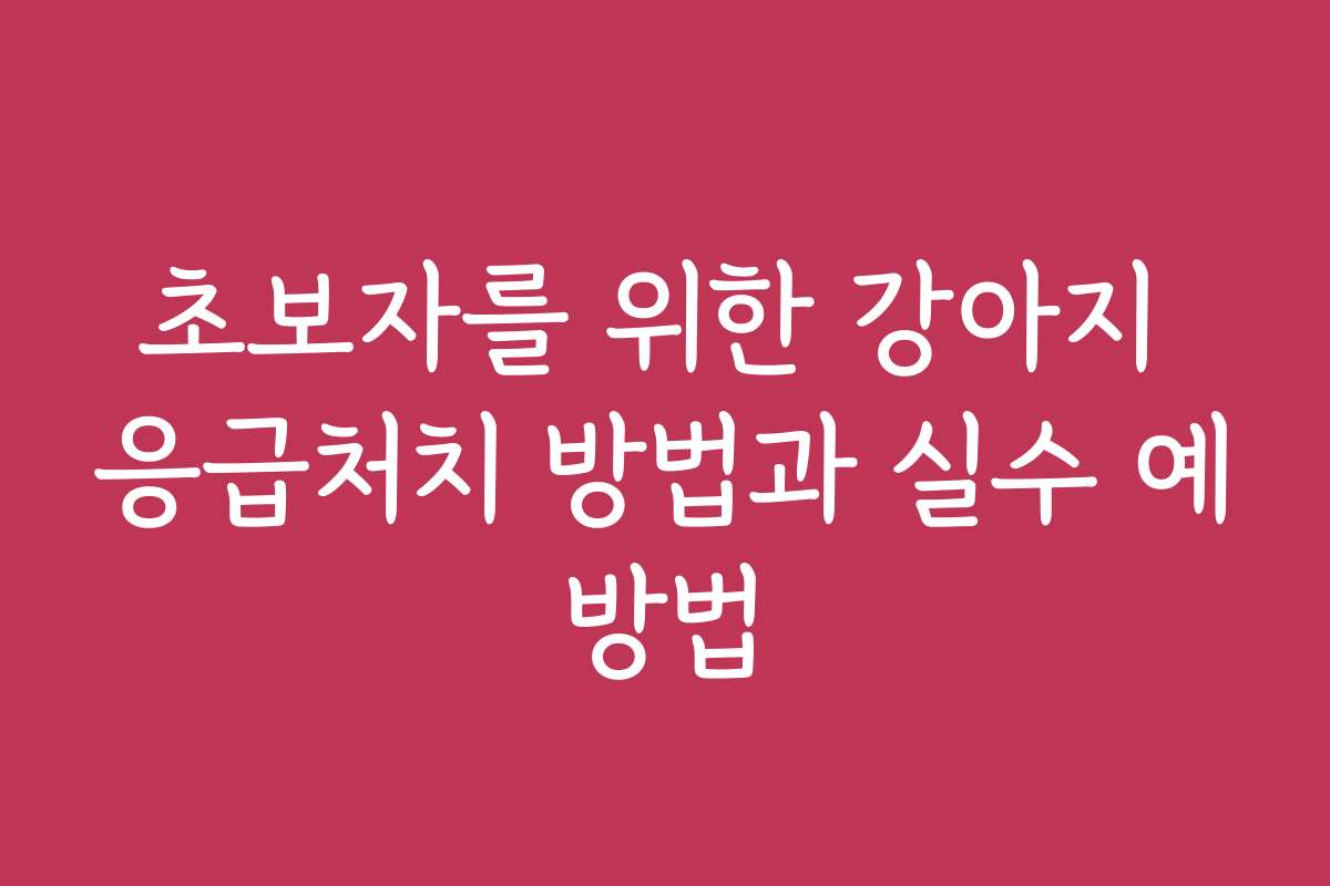 초보자를 위한 강아지 응급처치 방법과 실수 예방법