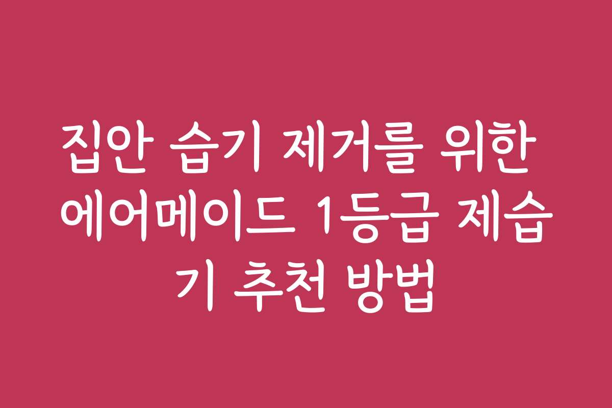 집안 습기 제거를 위한 에어메이드 1등급 제습기 추천 방법