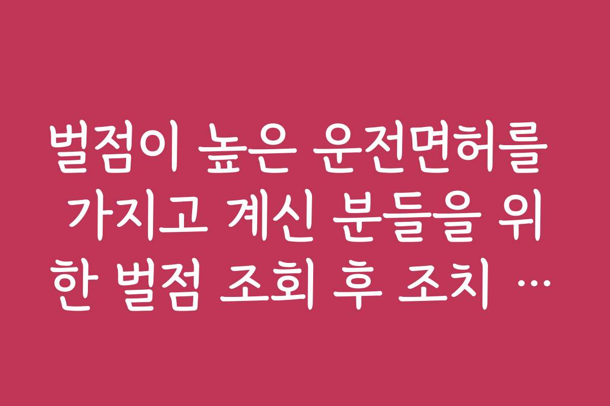 벌점이 높은 운전면허를 가지고 계신 분들을 위한 벌점 조회 후 조치 방법들