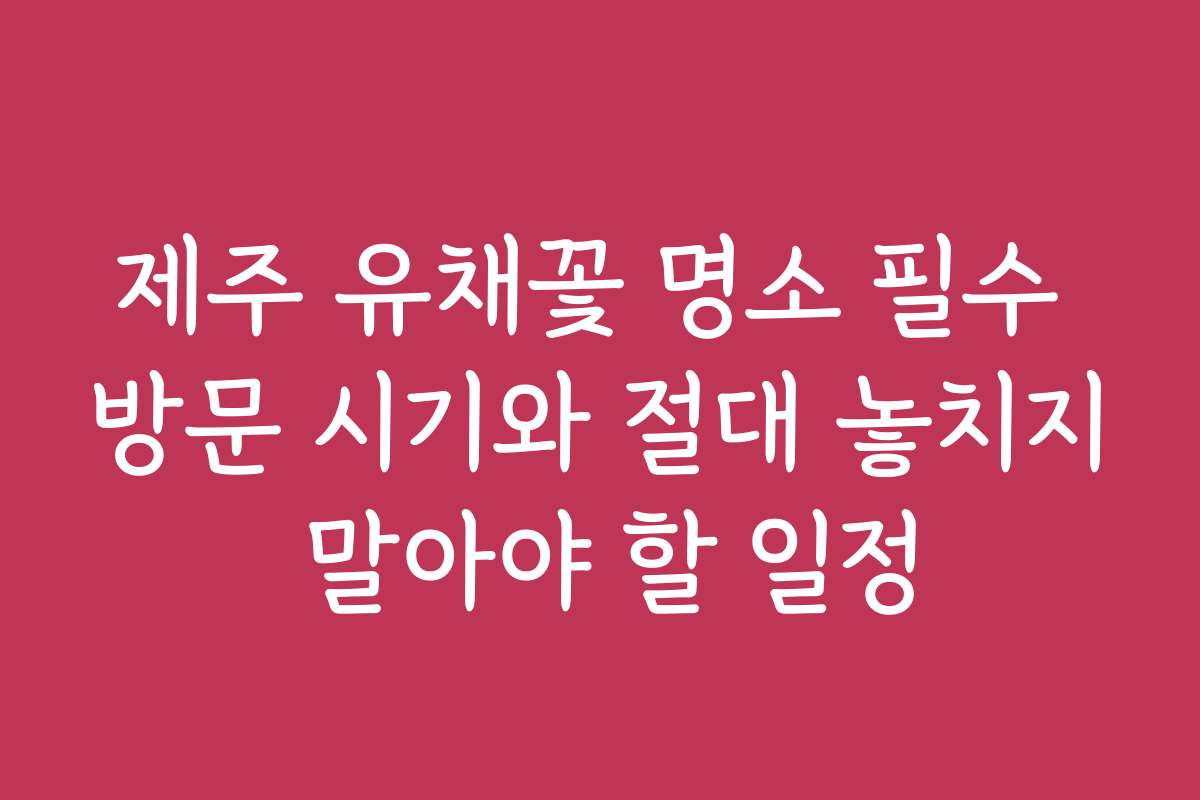 제주 유채꽃 명소 필수 방문 시기와 절대 놓치지 말아야 할 일정