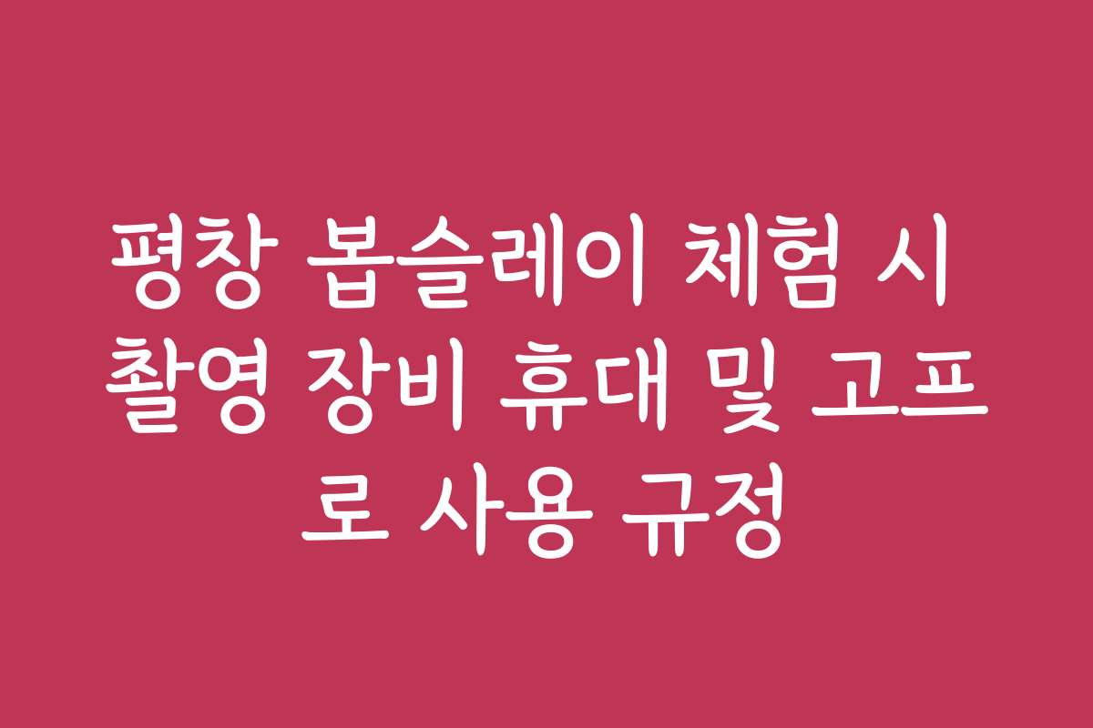 평창 봅슬레이 체험 시 촬영 장비 휴대 및 고프로 사용 규정