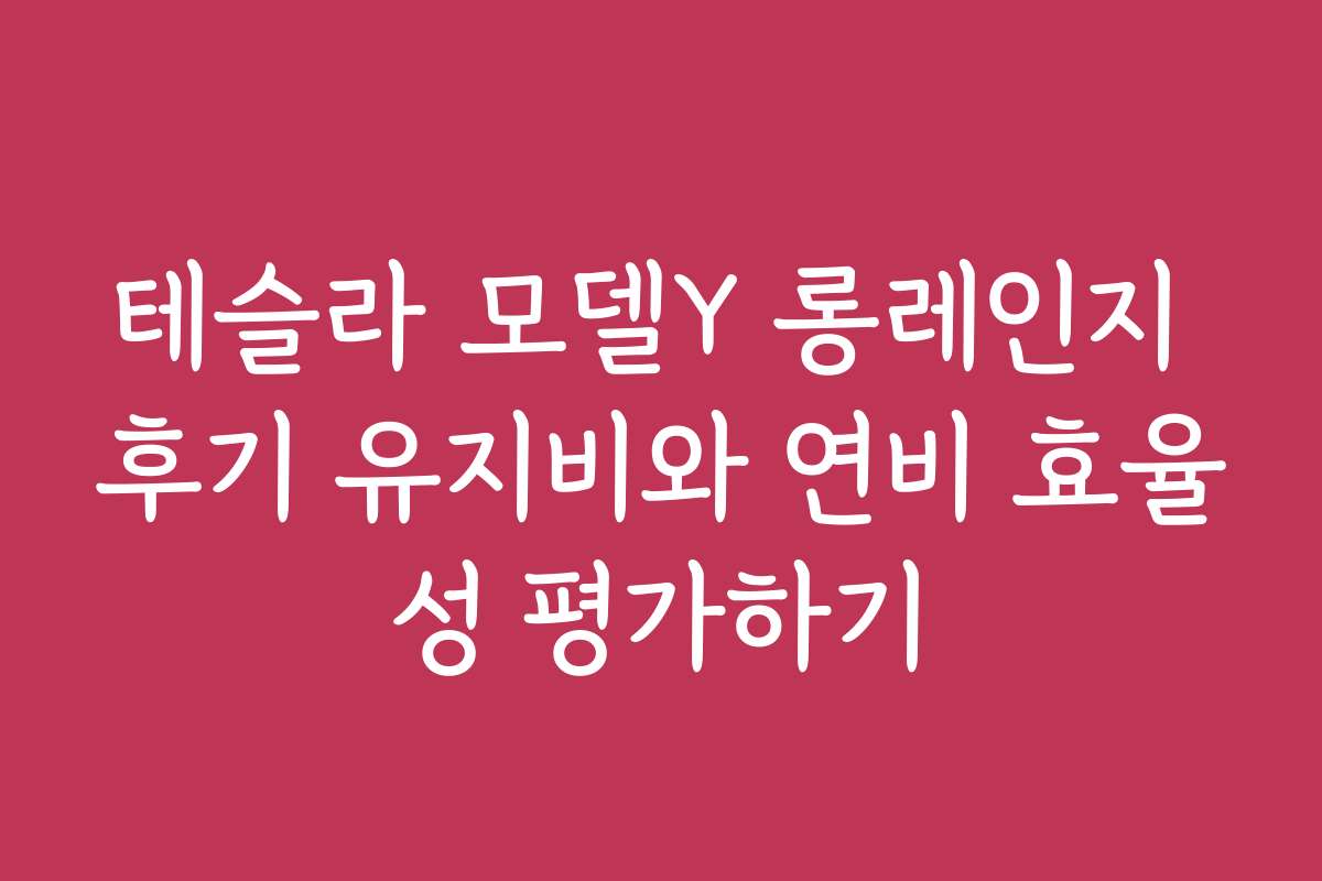 테슬라 모델Y 롱레인지 후기 유지비와 연비 효율성 평가하기