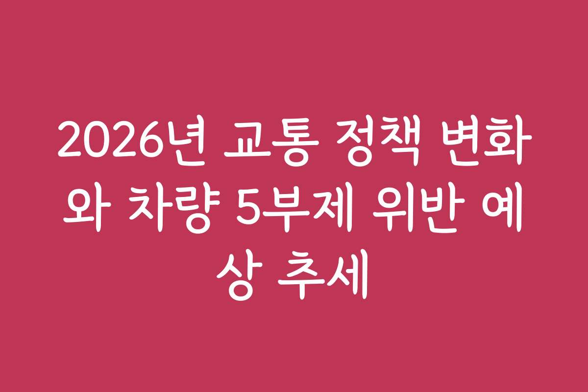 2026년 교통 정책 변화와 차량 5부제 위반 예상 추세