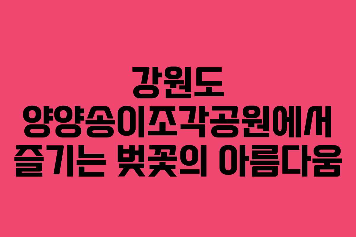 강원도 양양송이조각공원에서 즐기는 벚꽃의 아름다움
