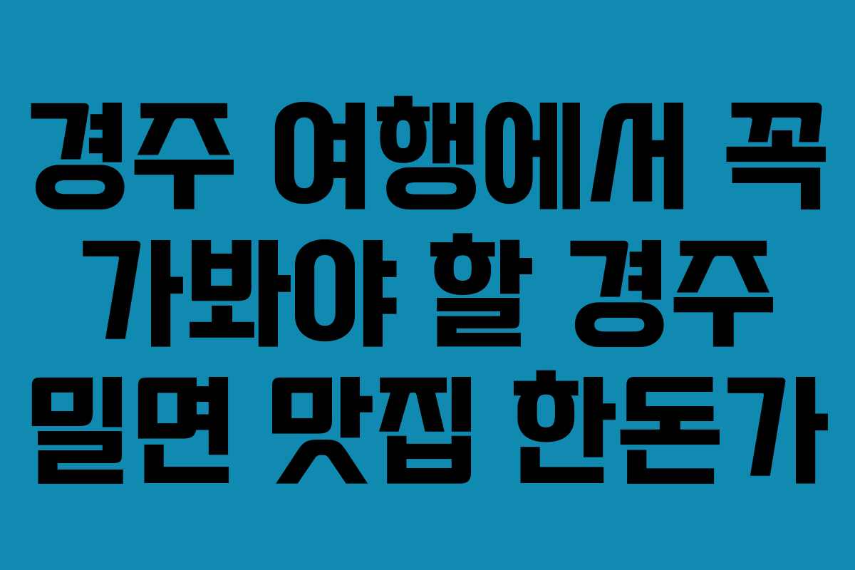 경주 여행에서 꼭 가봐야 할 경주 밀면 맛집 한돈가