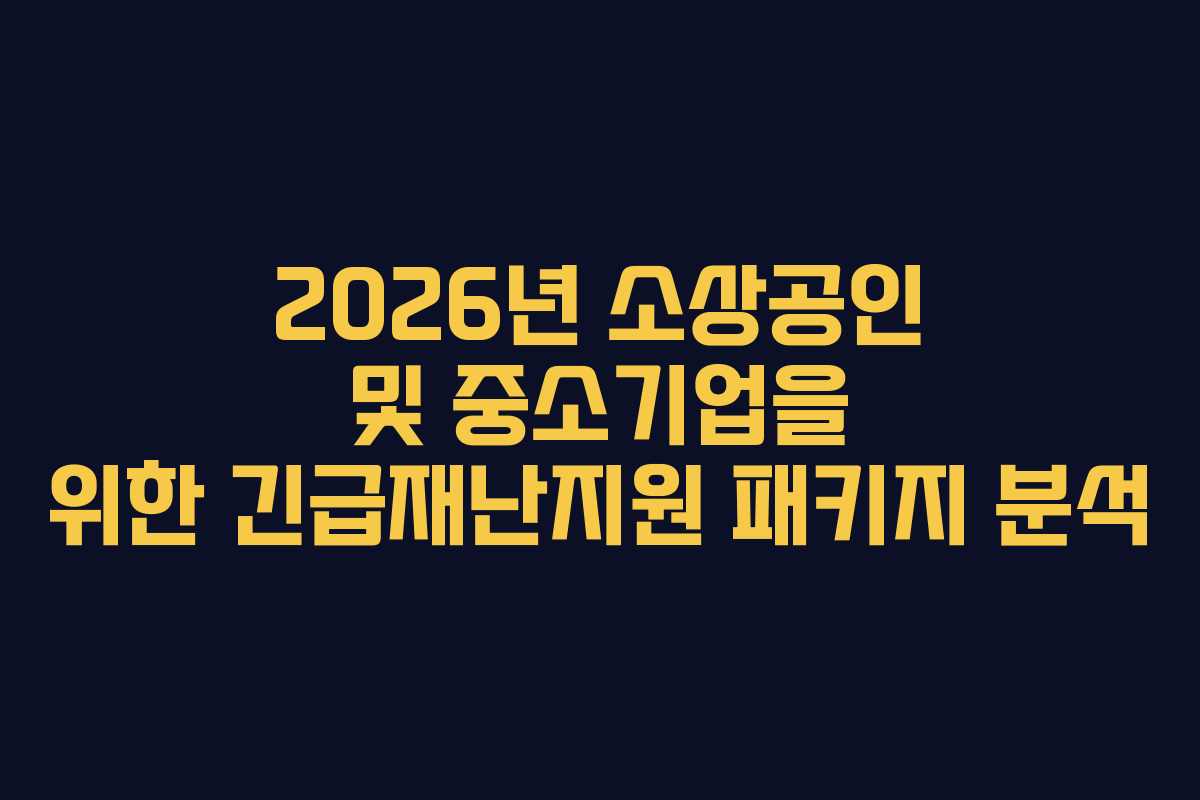 2026년 소상공인 및 중소기업을 위한 긴급재난지원 패키지 분석