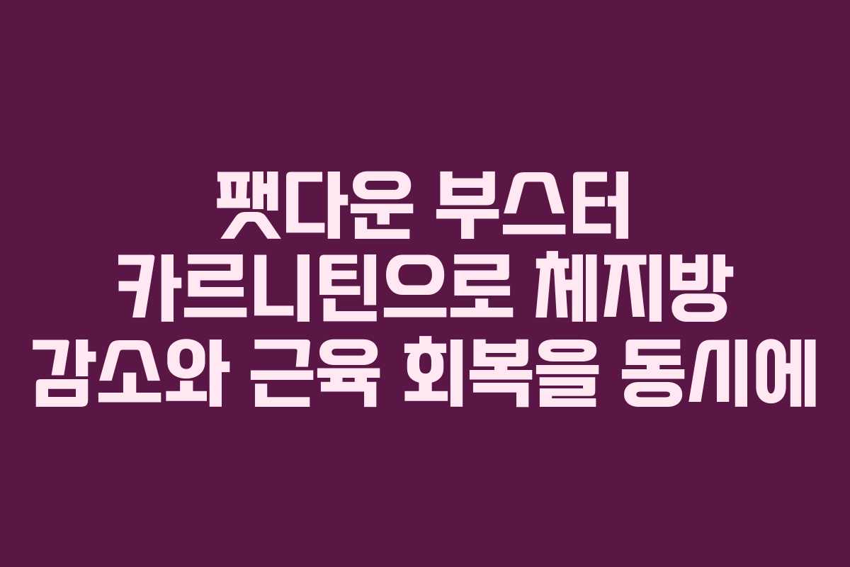 팻다운 부스터 카르니틴으로 체지방 감소와 근육 회복을 동시에