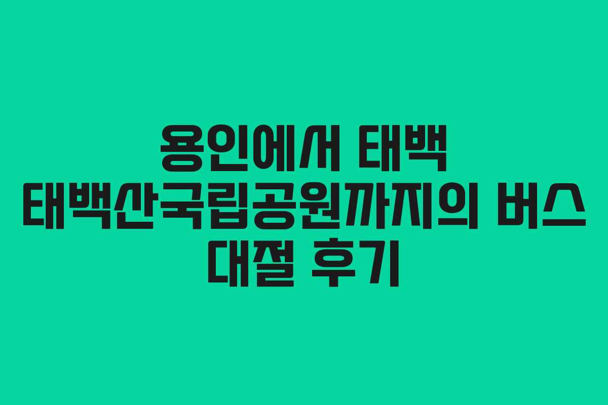 용인에서 태백 태백산국립공원까지의 버스 대절 후기