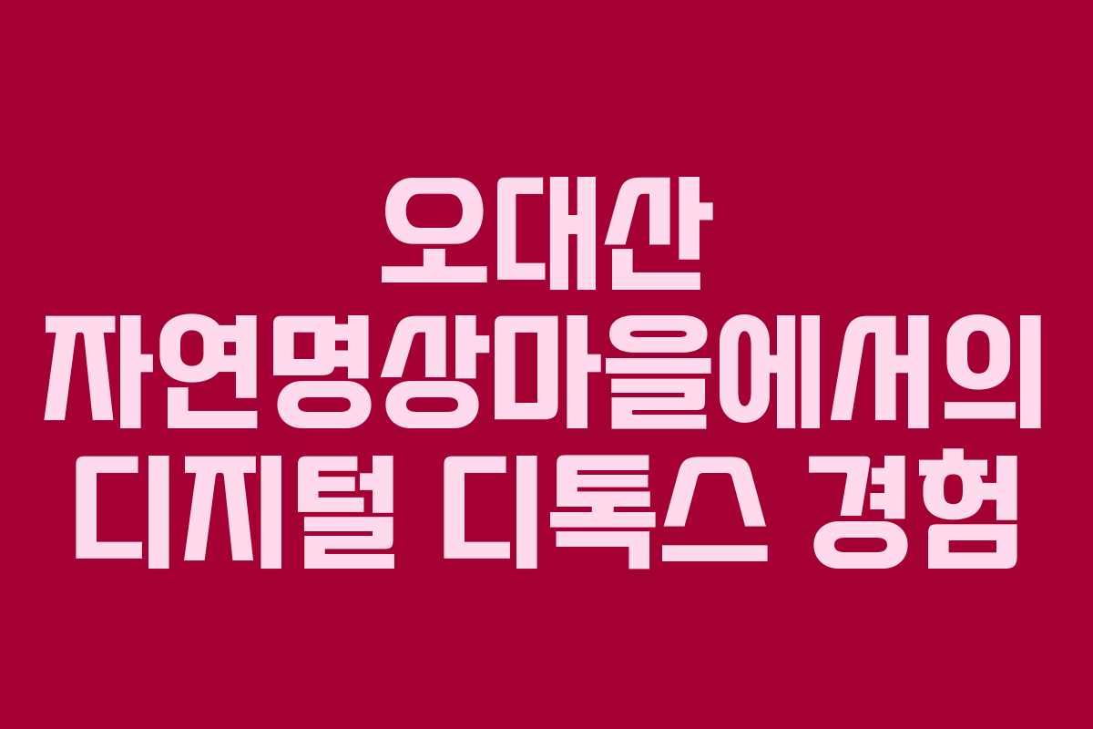 오대산 자연명상마을에서의 디지털 디톡스 경험