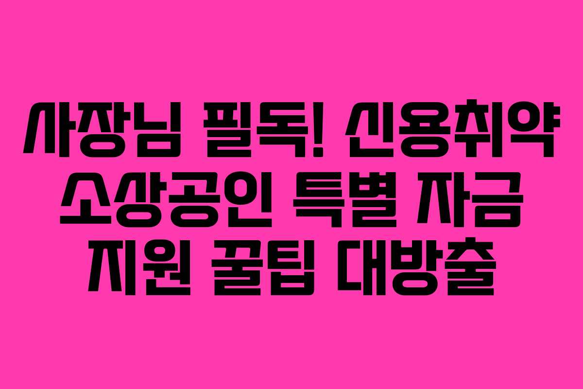 사장님 필독! 신용취약 소상공인 특별 자금 지원 꿀팁 대방출