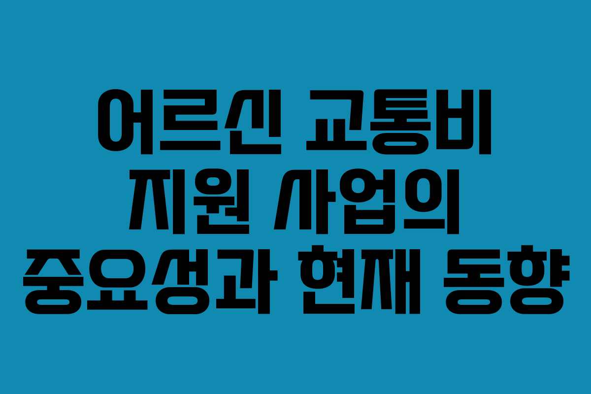 어르신 교통비 지원 사업의 중요성과 현재 동향