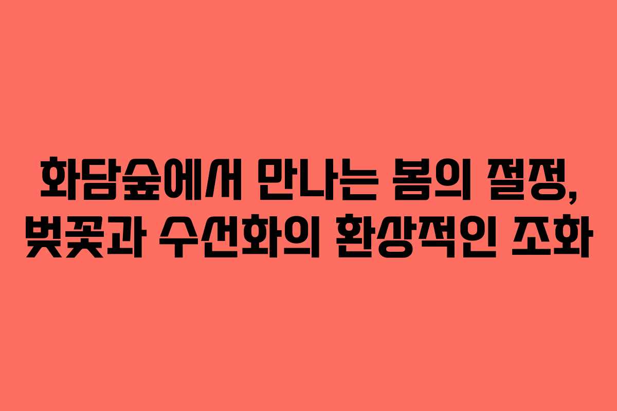 화담숲에서 만나는 봄의 절정, 벚꽃과 수선화의 환상적인 조화