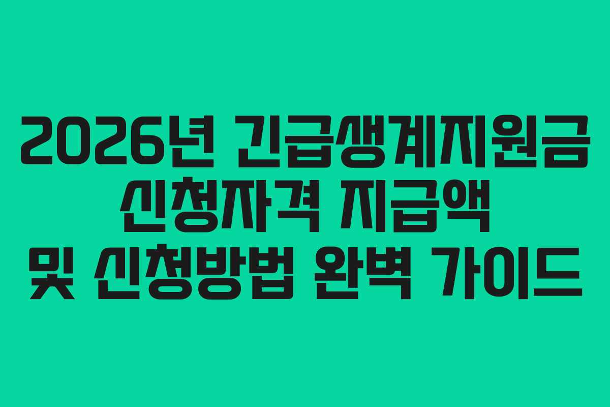 2026년 긴급생계지원금 신청자격 지급액 및 신청방법 완벽 가이드