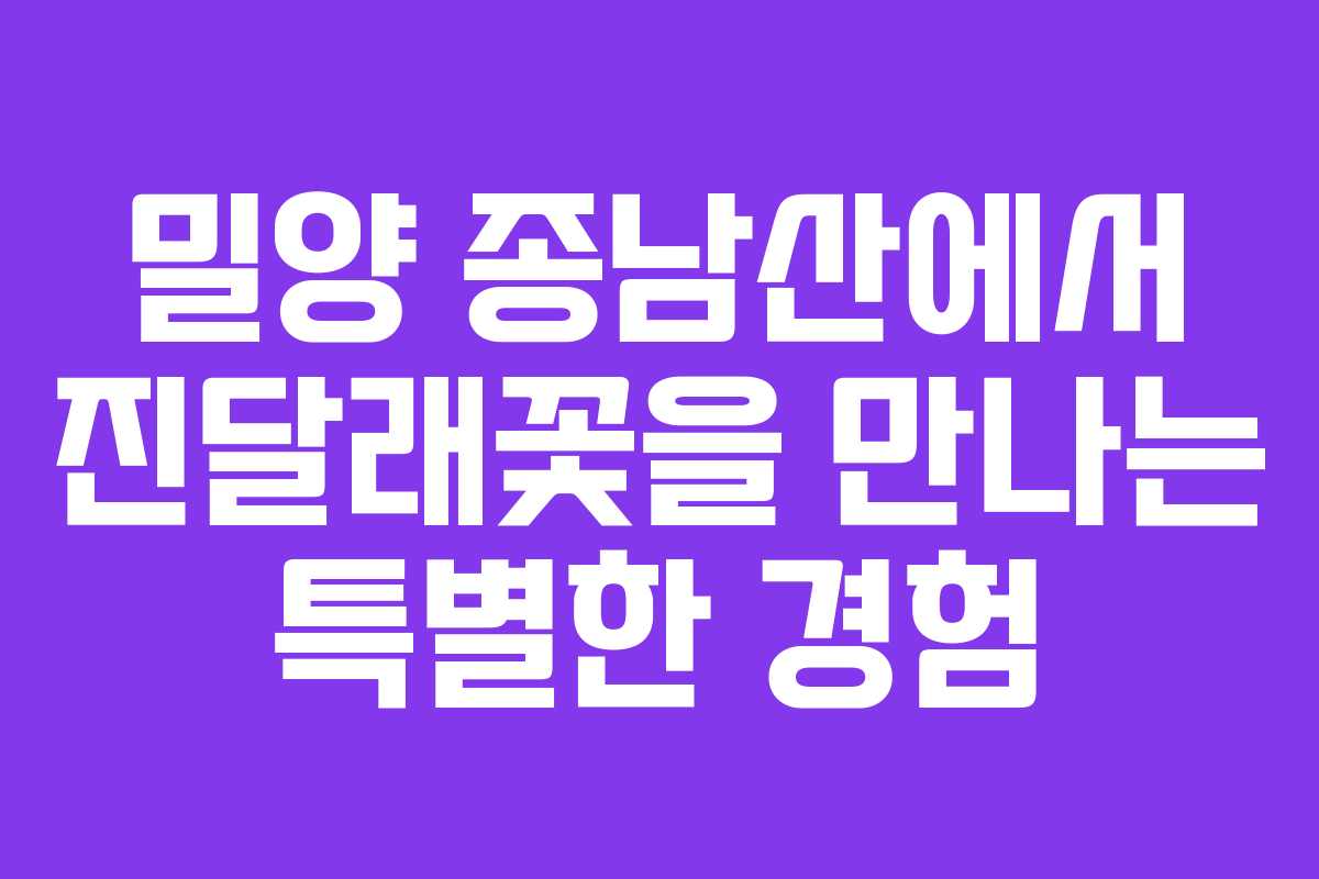 밀양 종남산에서 진달래꽃을 만나는 특별한 경험 밀양 종남산에서 진달래꽃을 만나는 특별한 경험
