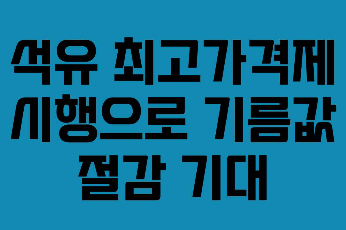 석유 최고가격제 시행으로 기름값 절감 기대 석유 최고가격제 시행으로 기름값 절감 기대