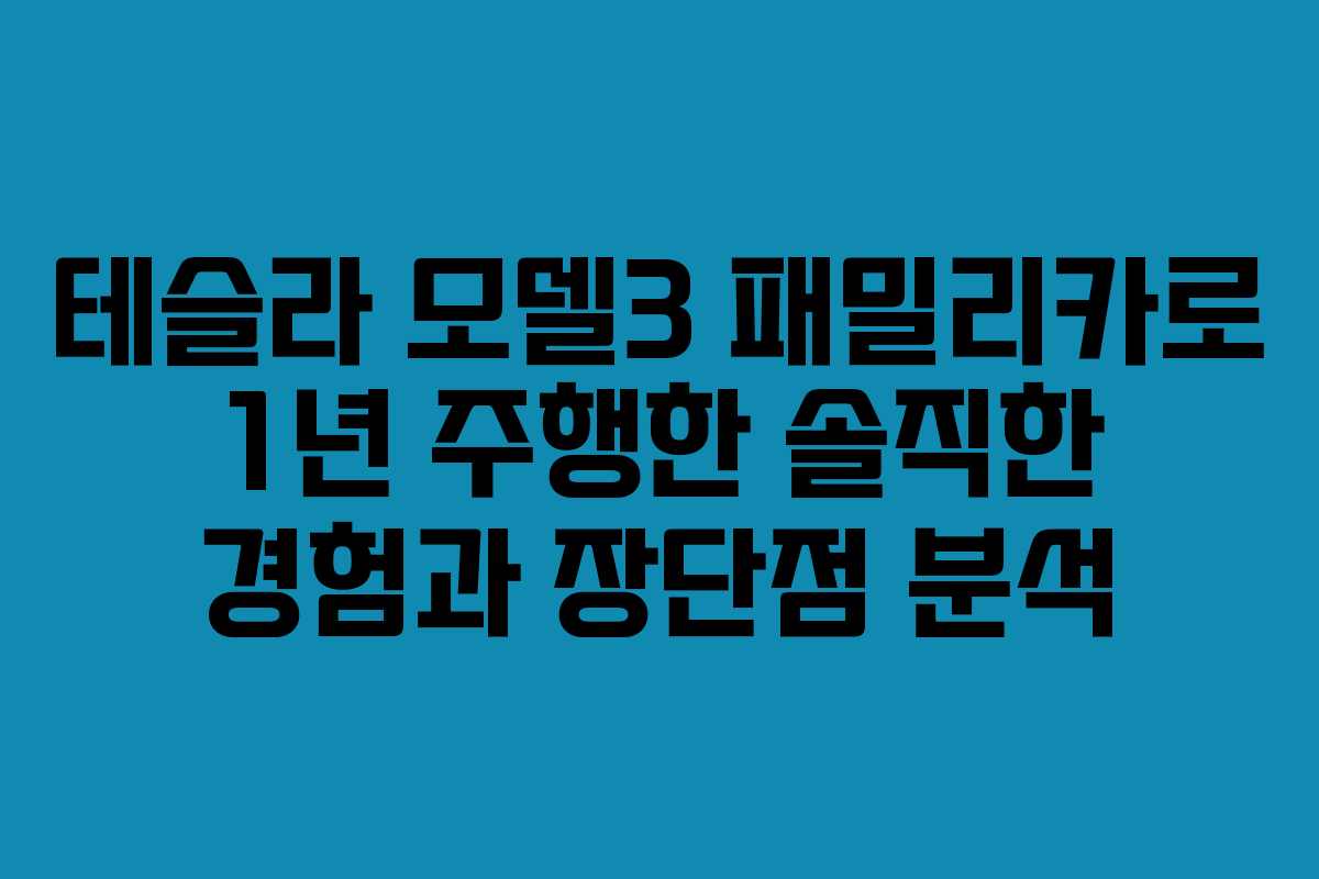 테슬라 모델3 패밀리카로 1년 주행한 솔직한 경험과 장단점 분석 테슬라 모델3 패밀리카로 1년 주행한 솔직한 경험과 장단점 분석