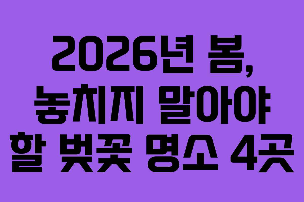 2026년 봄, 놓치지 말아야 할 벚꽃 명소 4곳