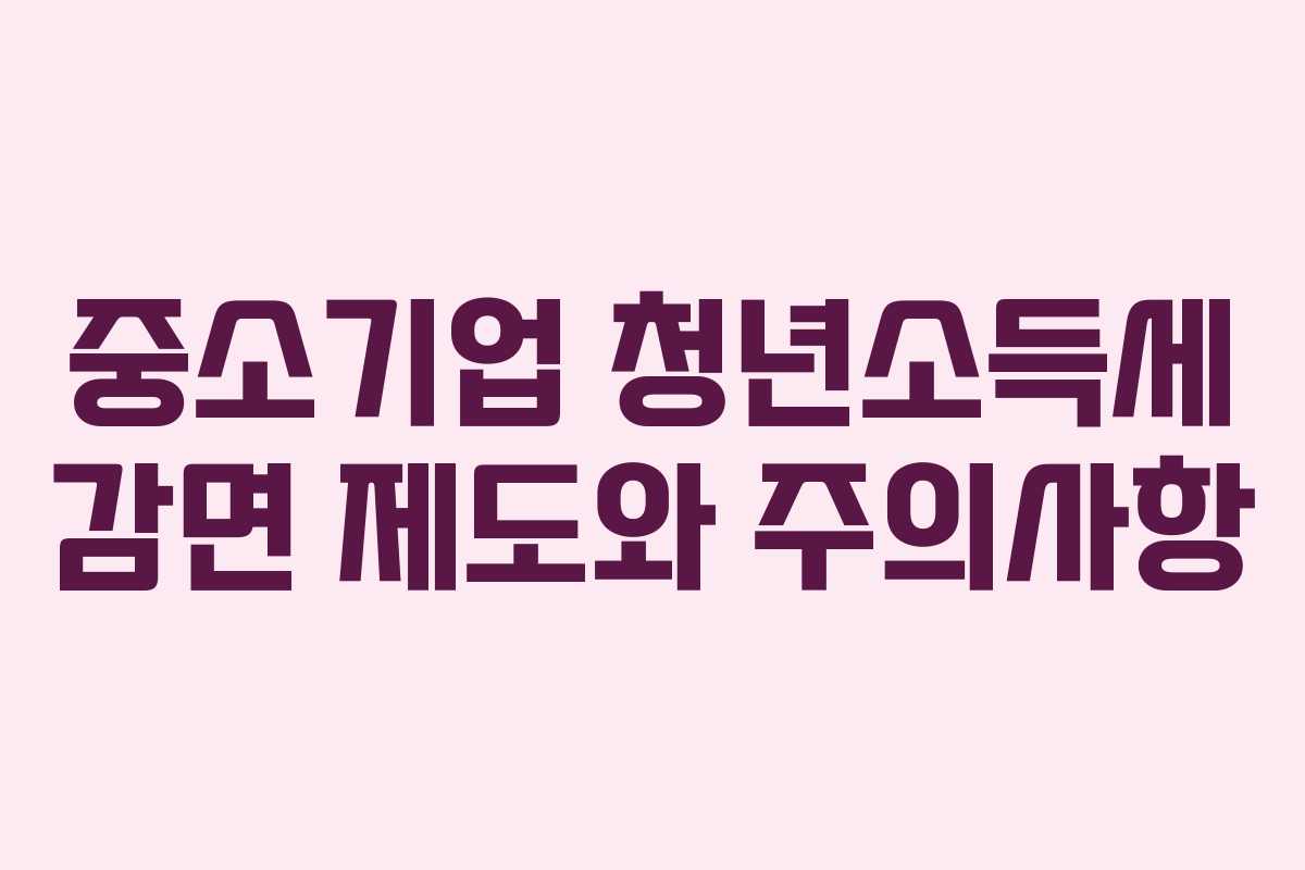 중소기업 청년소득세 감면 제도와 주의사항 중소기업 청년소득세 감면 제도와 주의사항