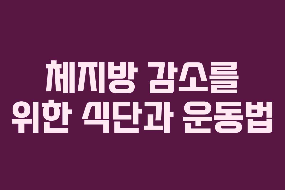 체지방 감소를 위한 식단과 운동법
