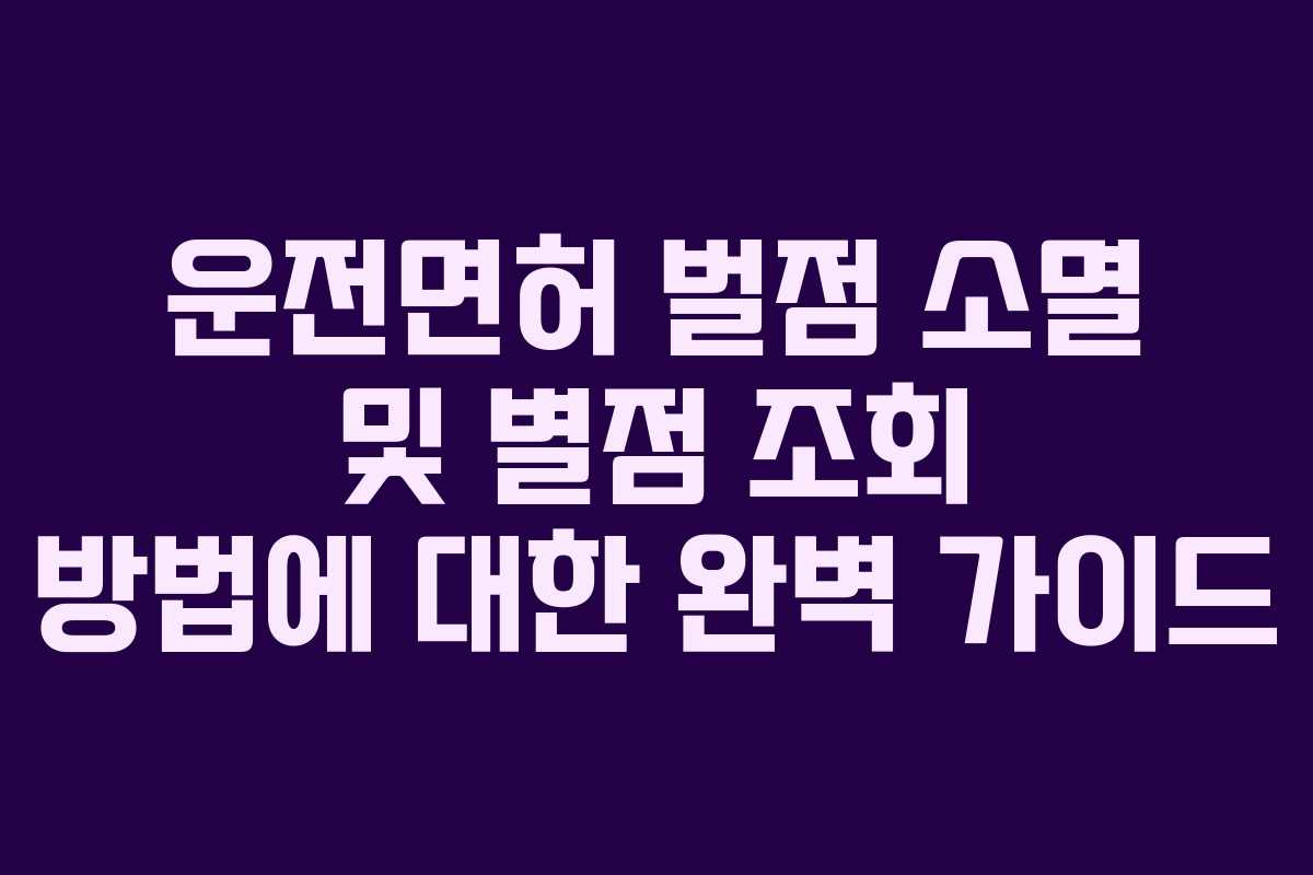 운전면허 벌점 소멸 및 별점 조회 방법에 대한 완벽 가이드